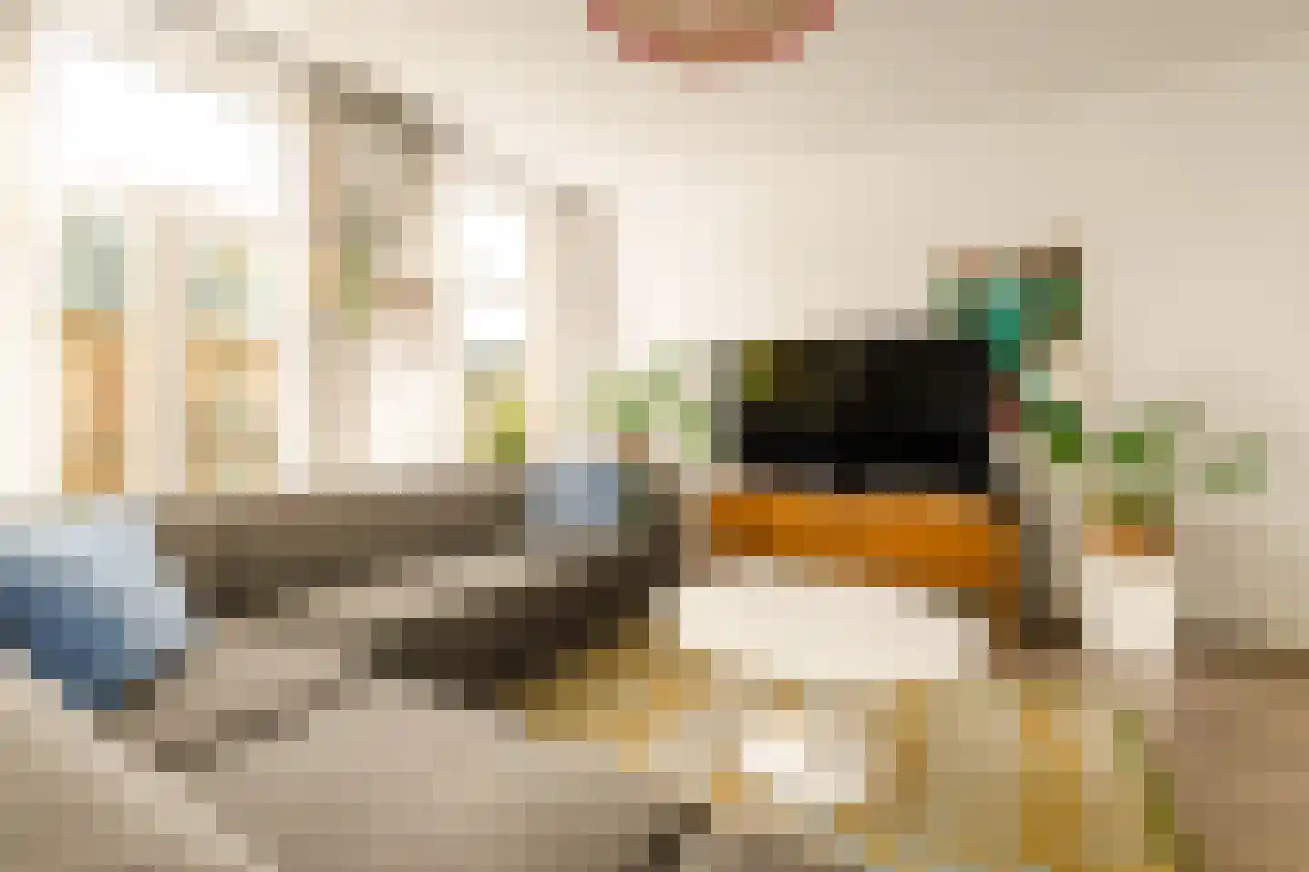 Groen van Prinstererstraat 56 3 Amsterdam thumbnail 4