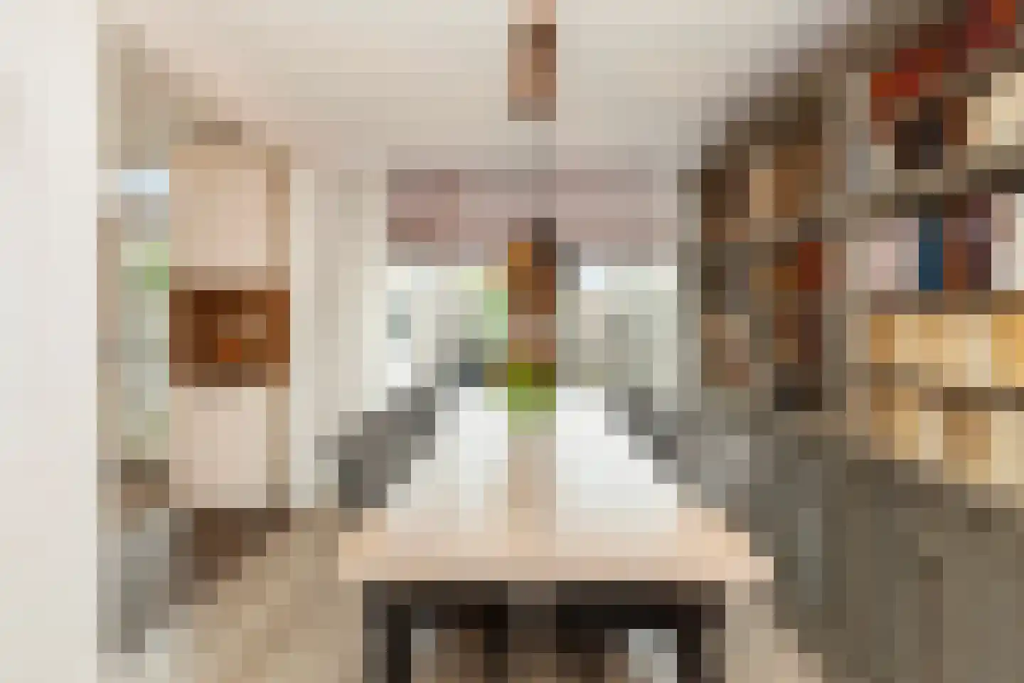 Groen van Prinstererstraat 56 Alblasserdam thumbnail 11