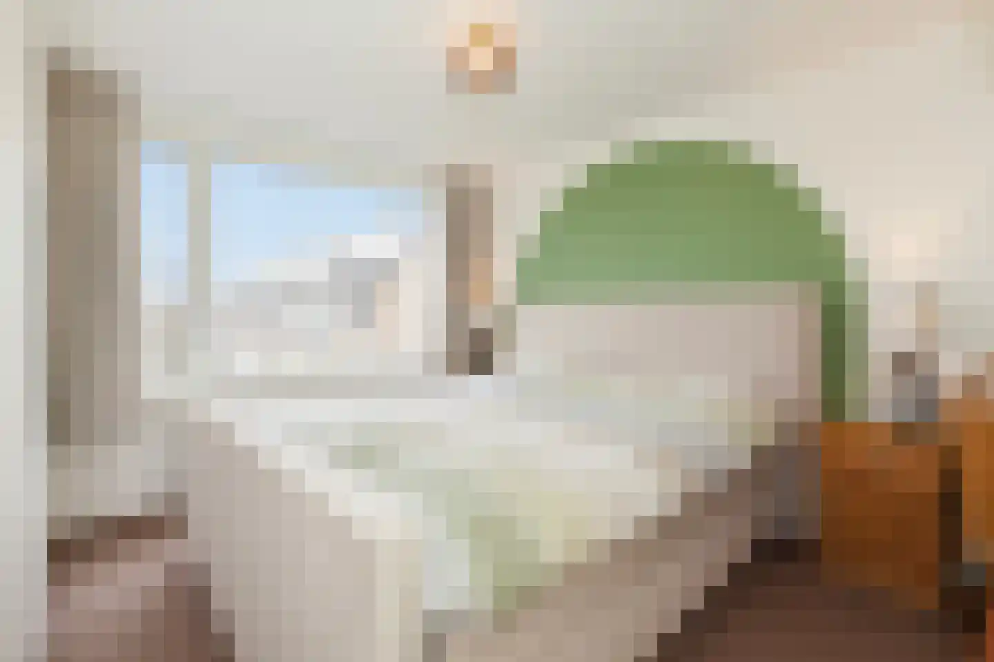 Groen van Prinstererstraat 56 Alblasserdam thumbnail 16