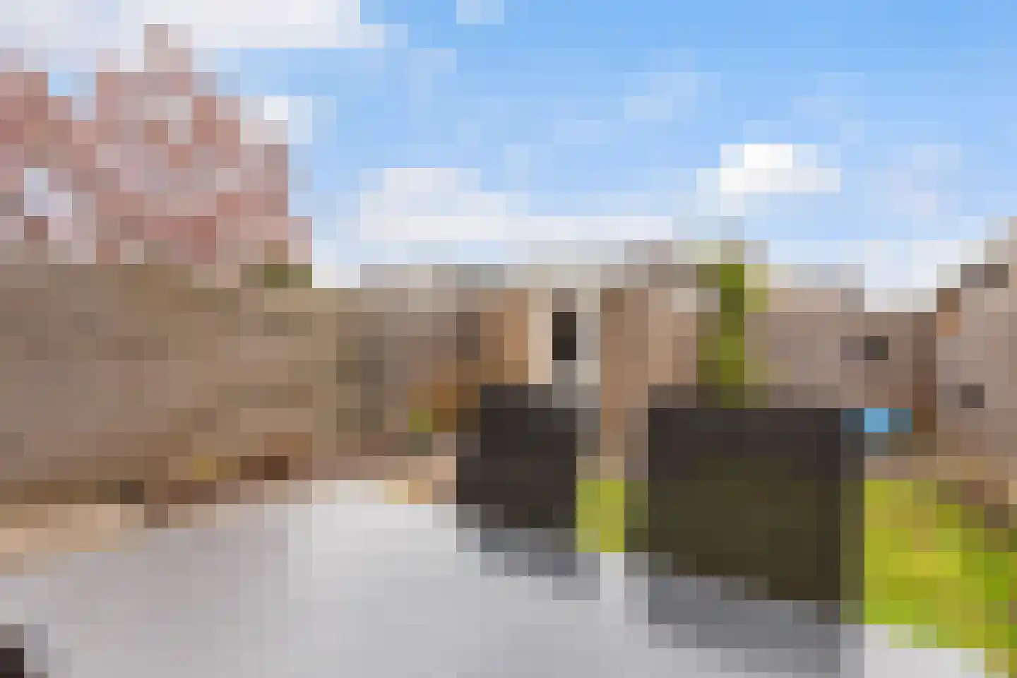 Groen van Prinstererstraat 56 Alblasserdam thumbnail 29