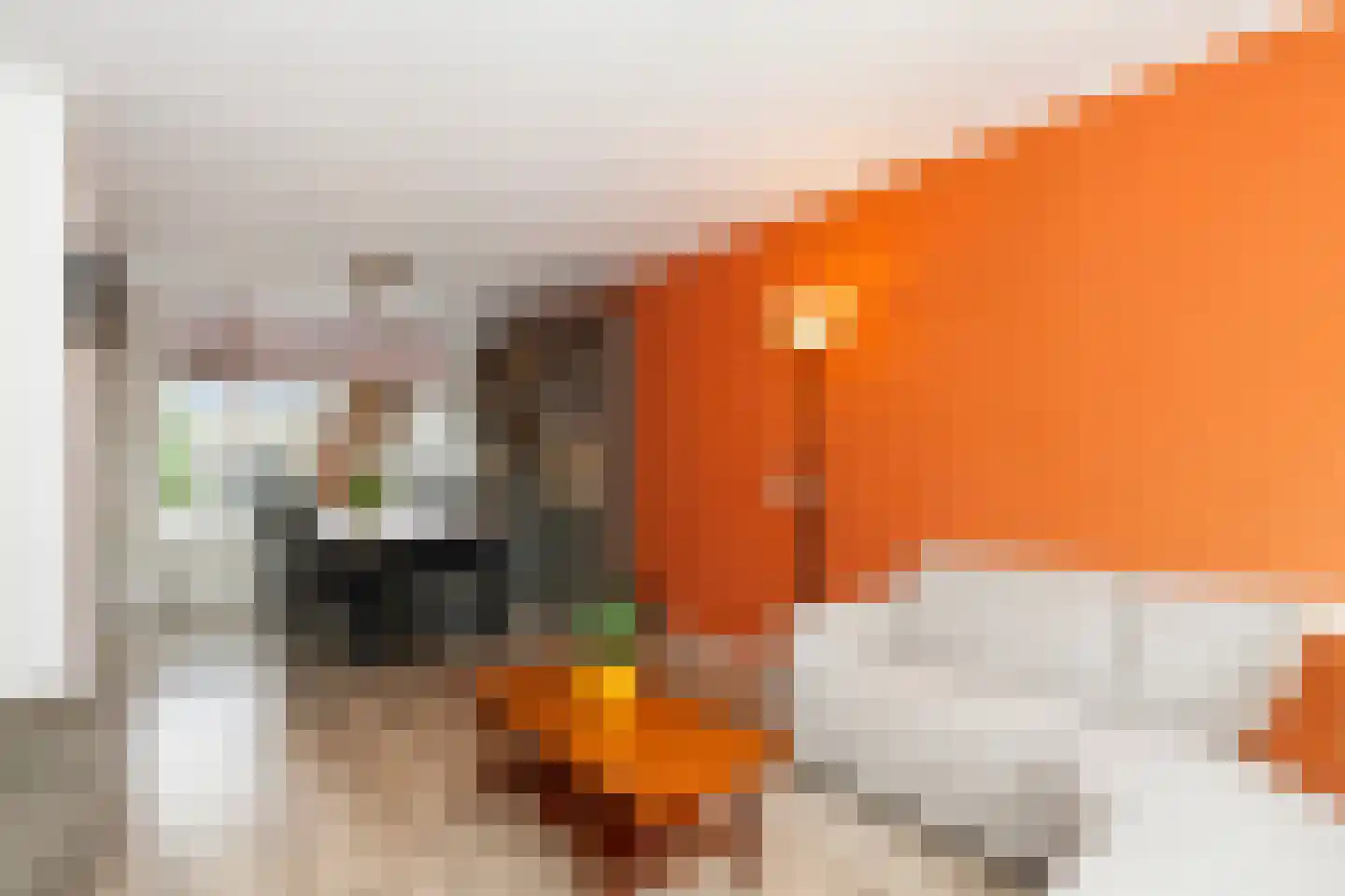 Groen van Prinstererstraat 56 Alblasserdam thumbnail 6