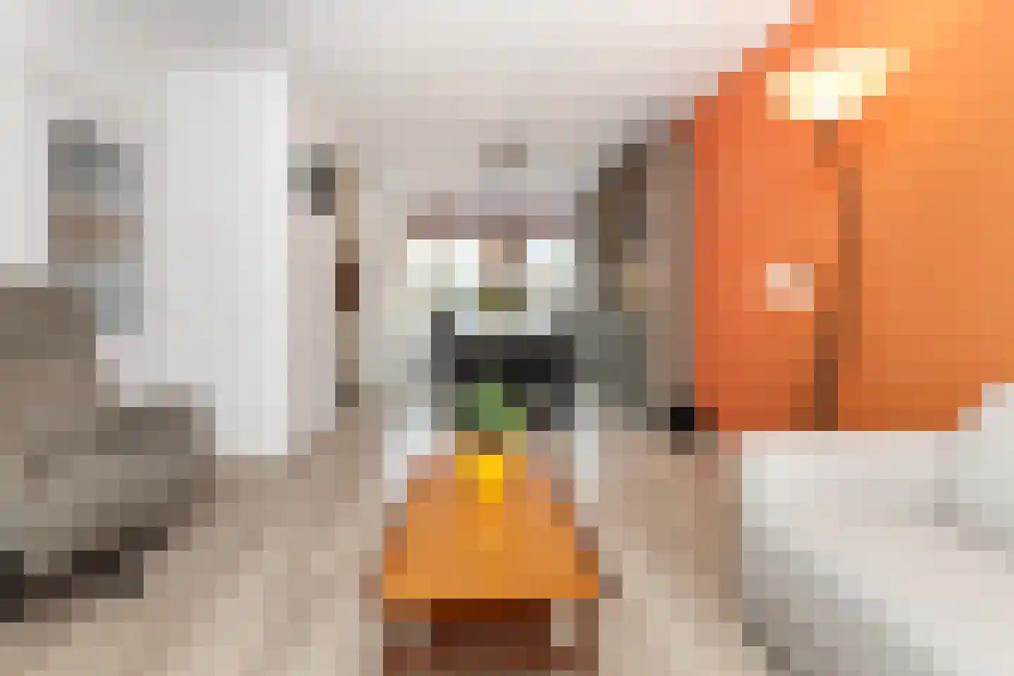 Groen van Prinstererstraat 56 Alblasserdam thumbnail 8