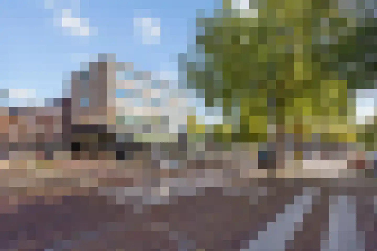 Groen van Prinstererstraat 58 Vlaardingen thumbnail 21