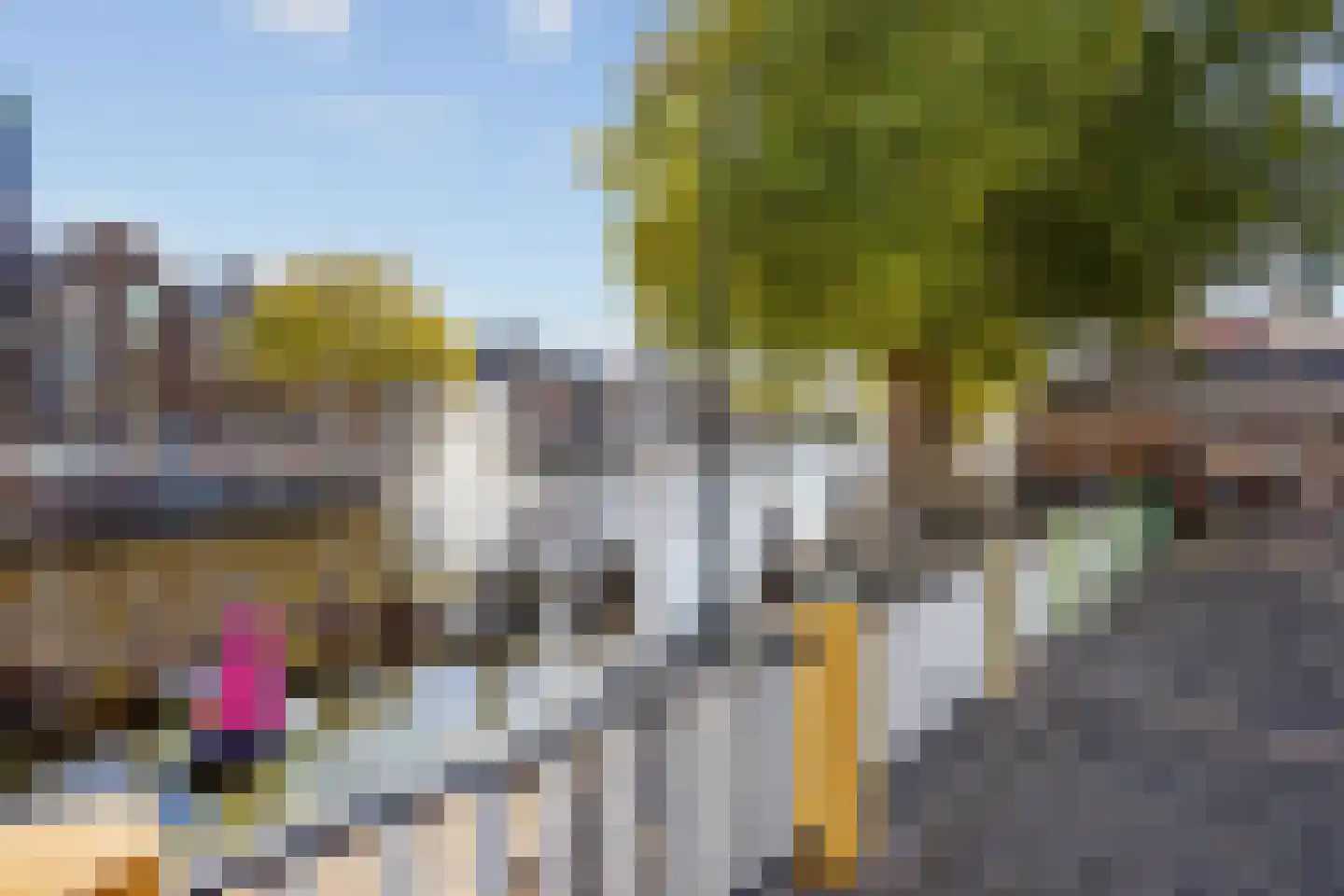 Groen van Prinstererstraat 58 Vlaardingen thumbnail 22