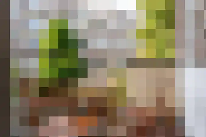 Groen van Prinstererstraat 59 B 01 Rotterdam thumbnail 9