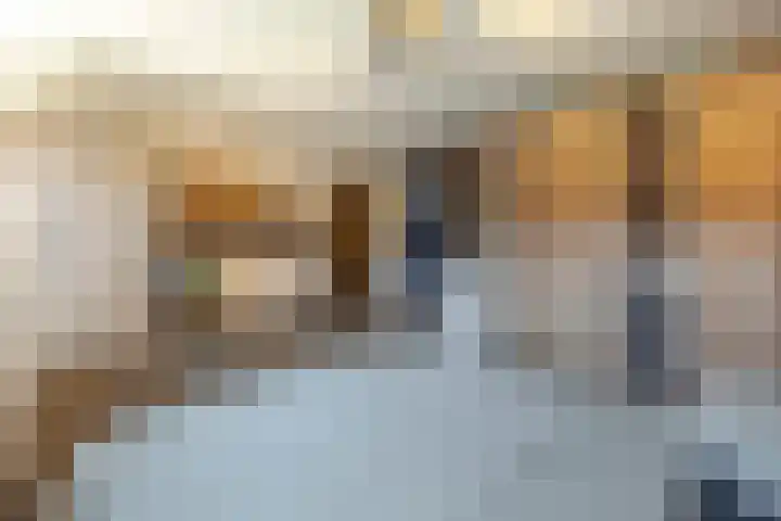 Groen van Prinstererstraat 6 Hardinxveld-Giessendam thumbnail 17