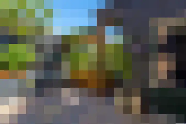 Groen van Prinstererstraat 6 Hardinxveld-Giessendam thumbnail 25
