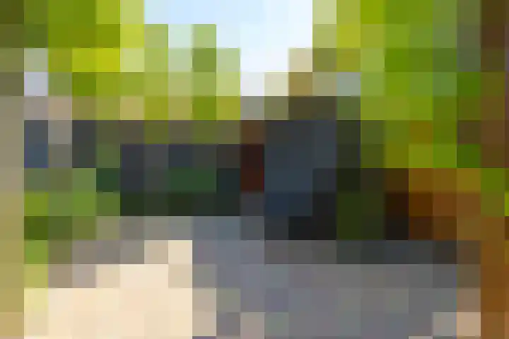 Groen van Prinstererstraat 6 Hardinxveld-Giessendam thumbnail 28