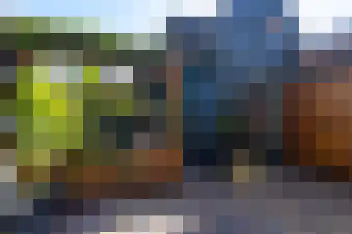 Groen van Prinstererstraat 6 Hardinxveld-Giessendam thumbnail 4