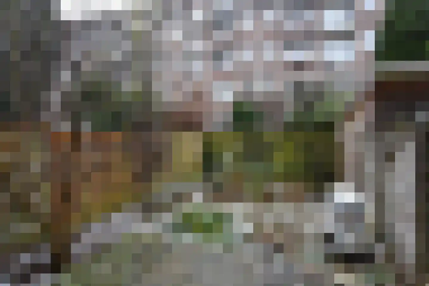 Groen van Prinstererstraat 61 A 02 Rotterdam thumbnail 13