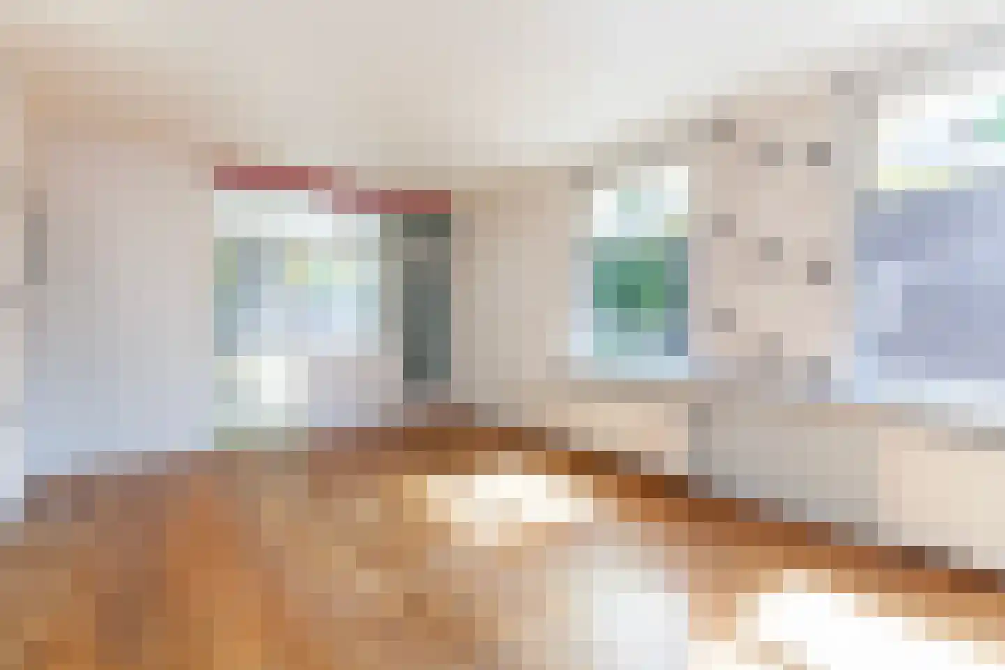 Groen van Prinstererstraat 64 Vlaardingen thumbnail 10