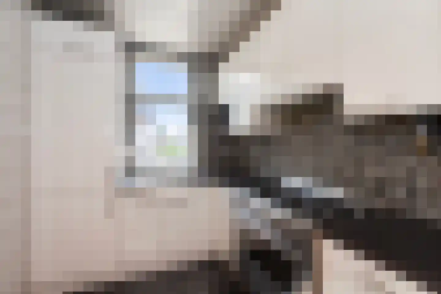 Groen van Prinstererstraat 64 Vlaardingen thumbnail 11
