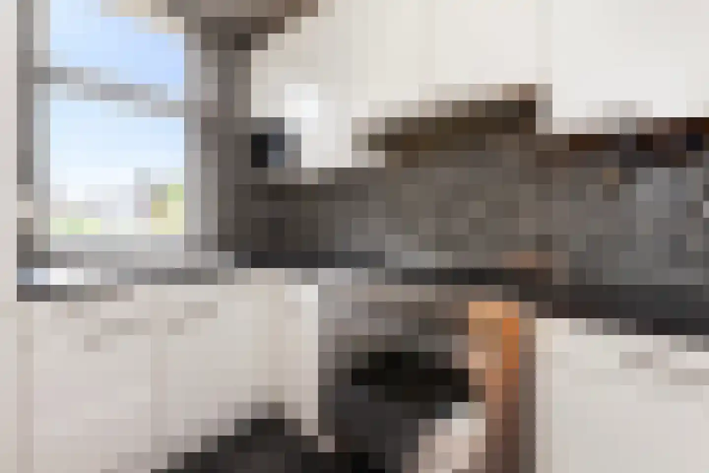 Groen van Prinstererstraat 64 Vlaardingen thumbnail 12