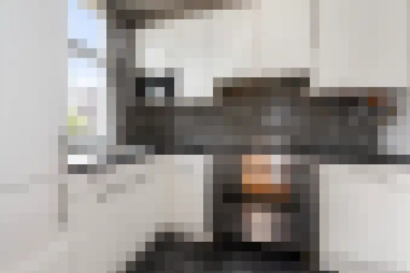 Groen van Prinstererstraat 64 Vlaardingen thumbnail 13