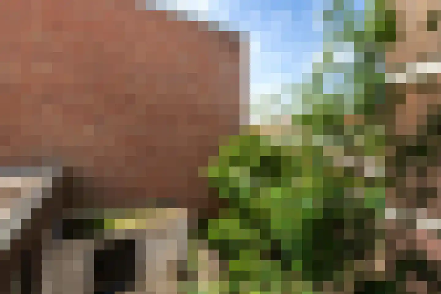 Groen van Prinstererstraat 64 Vlaardingen thumbnail 26