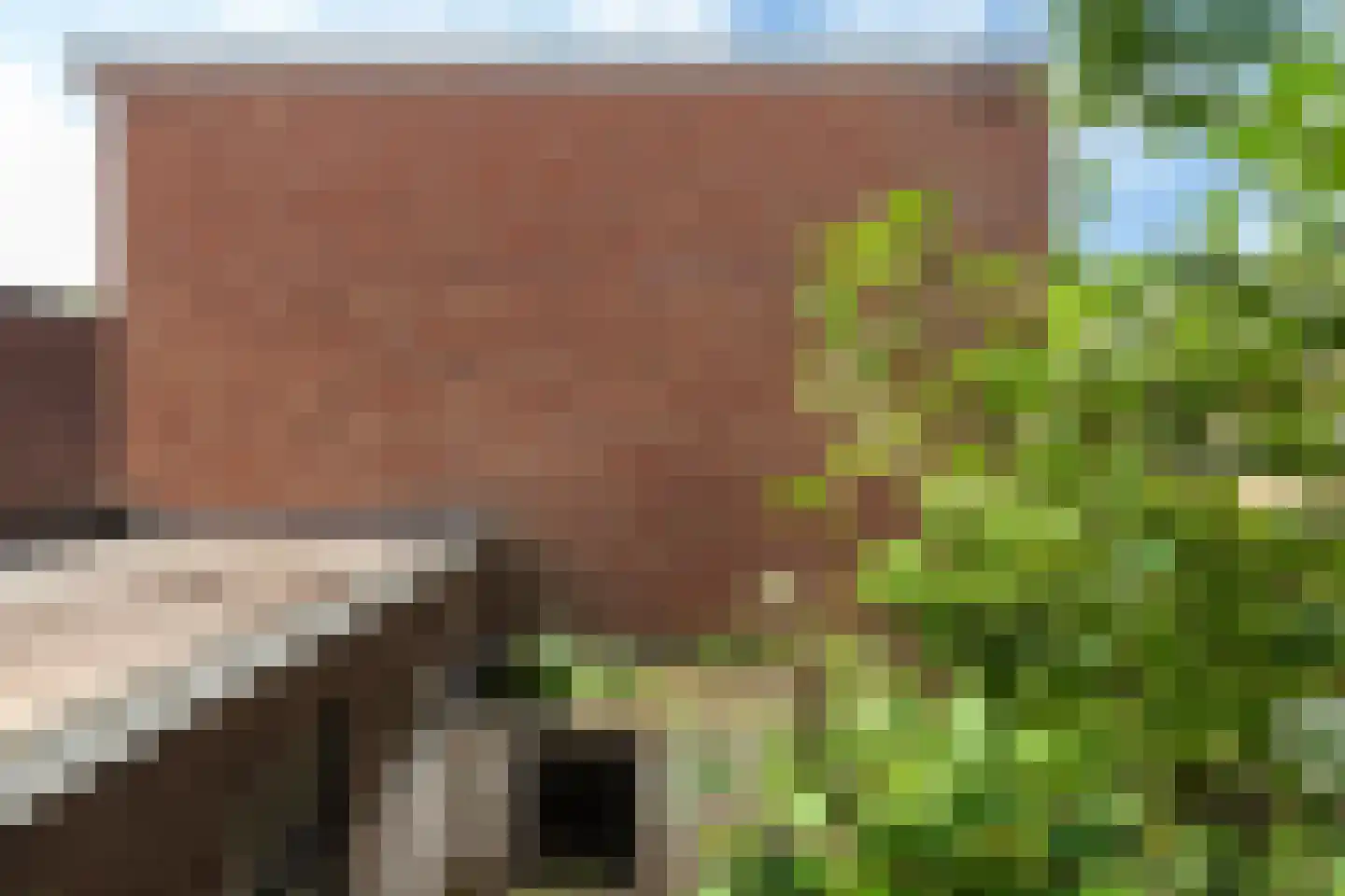 Groen van Prinstererstraat 64 Vlaardingen thumbnail 27