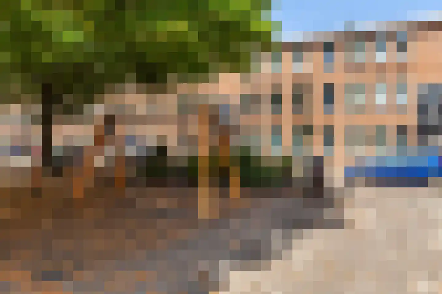 Groen van Prinstererstraat 64 Vlaardingen thumbnail 31
