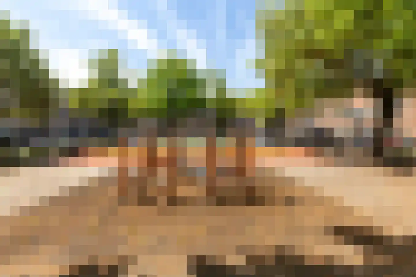 Groen van Prinstererstraat 64 Vlaardingen thumbnail 32