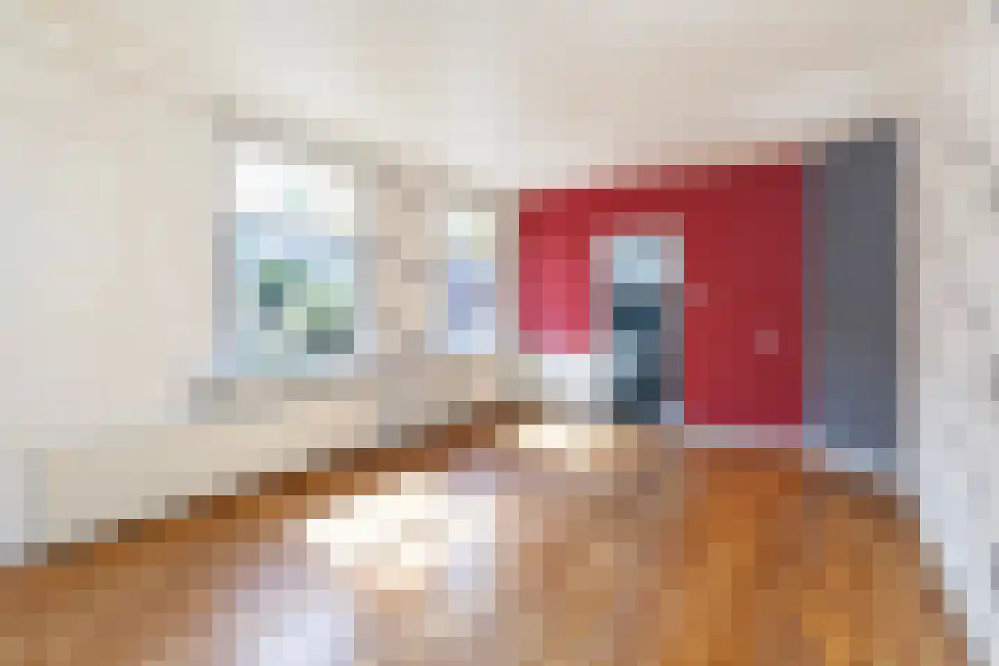 Groen van Prinstererstraat 64 Vlaardingen thumbnail 8