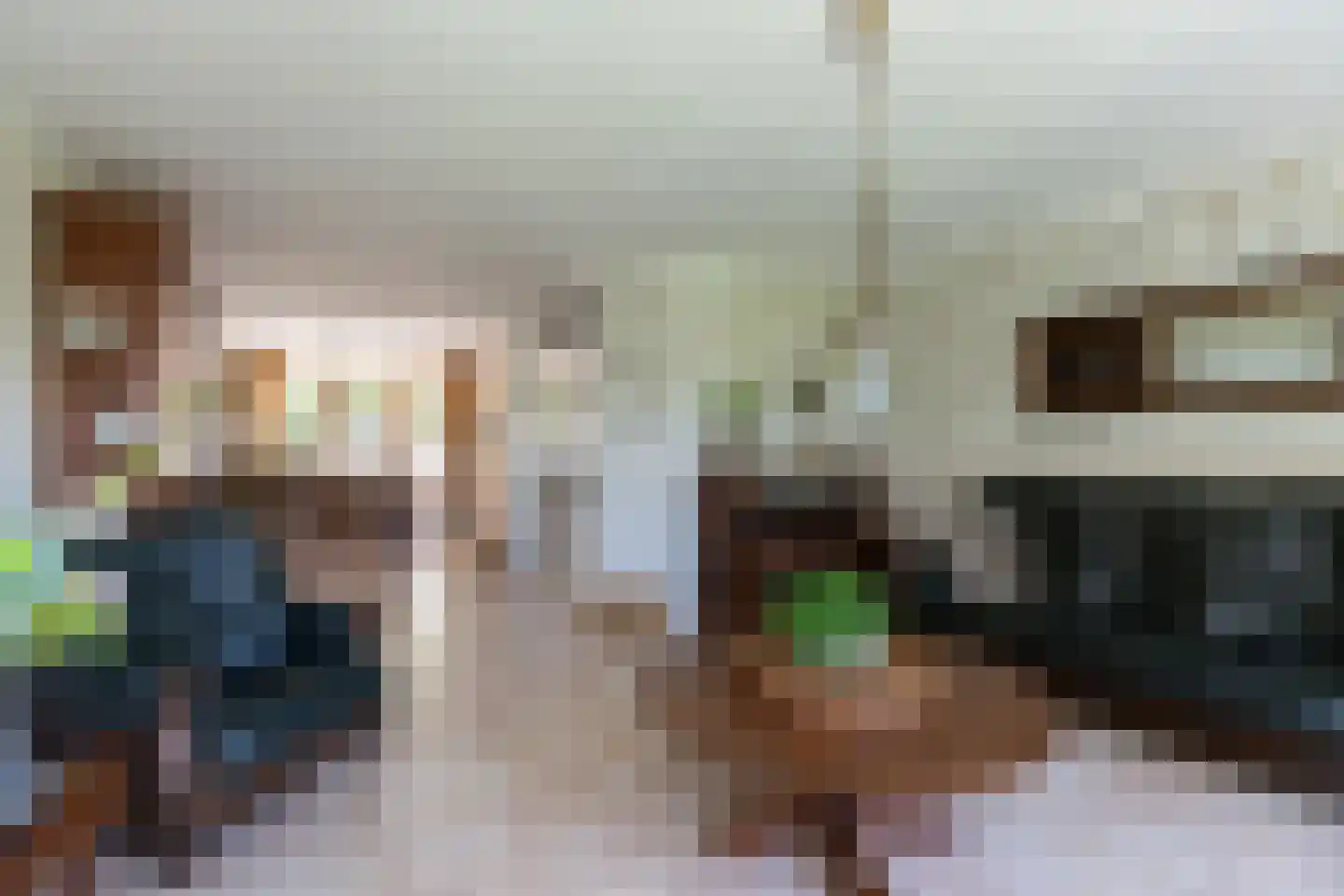 Groen van Prinstererstraat 65 Alblasserdam thumbnail 12