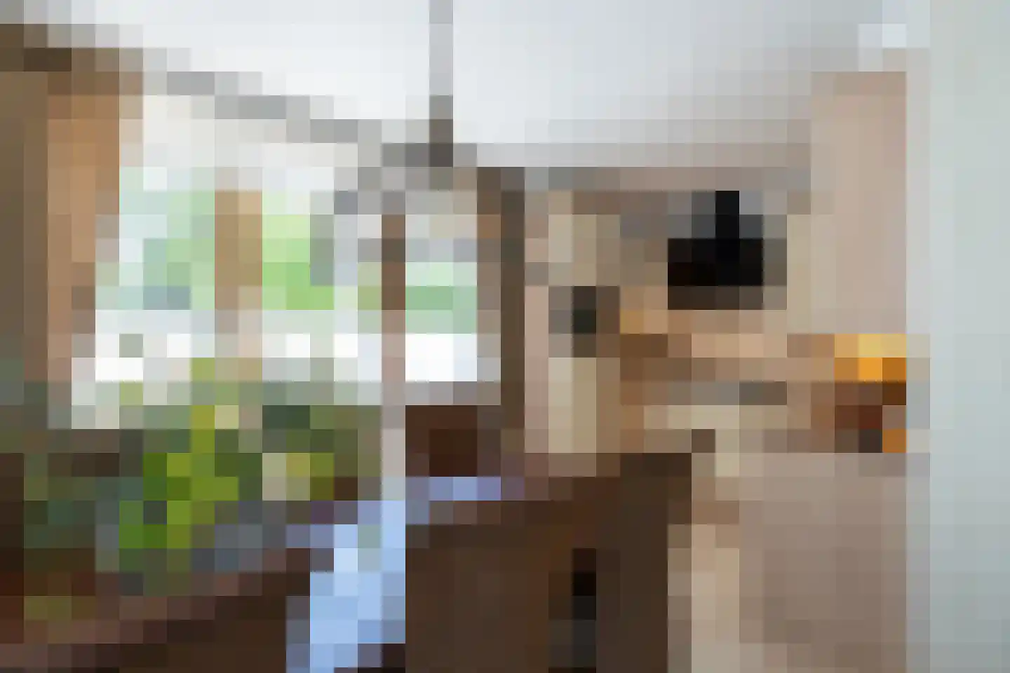 Groen van Prinstererstraat 65 Alblasserdam thumbnail 14