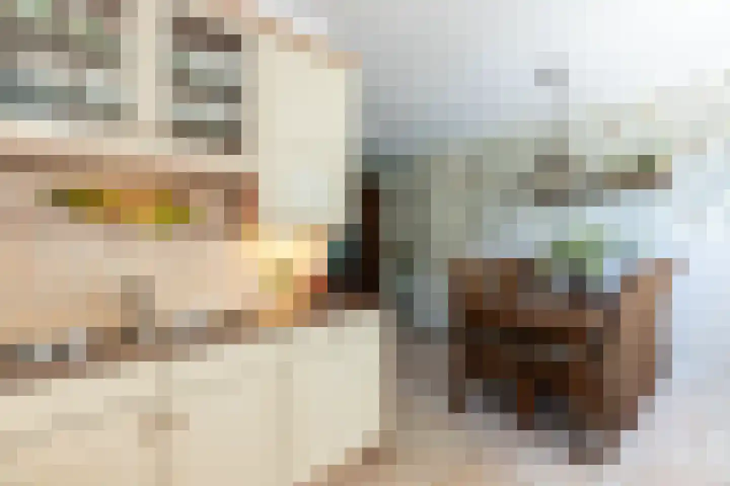 Groen van Prinstererstraat 65 Alblasserdam thumbnail 16