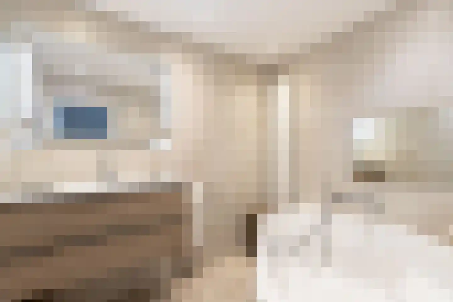 Groen van Prinstererstraat 65 Alblasserdam thumbnail 22