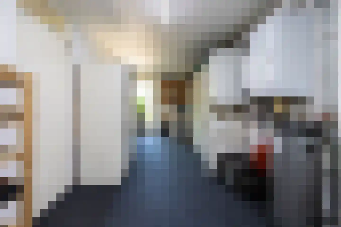 Groen van Prinstererstraat 65 Alblasserdam thumbnail 25