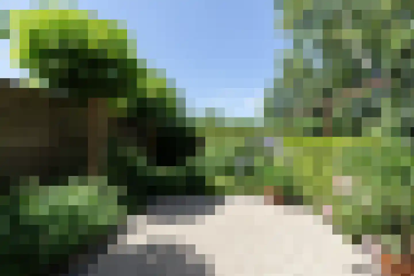 Groen van Prinstererstraat 65 Alblasserdam thumbnail 30