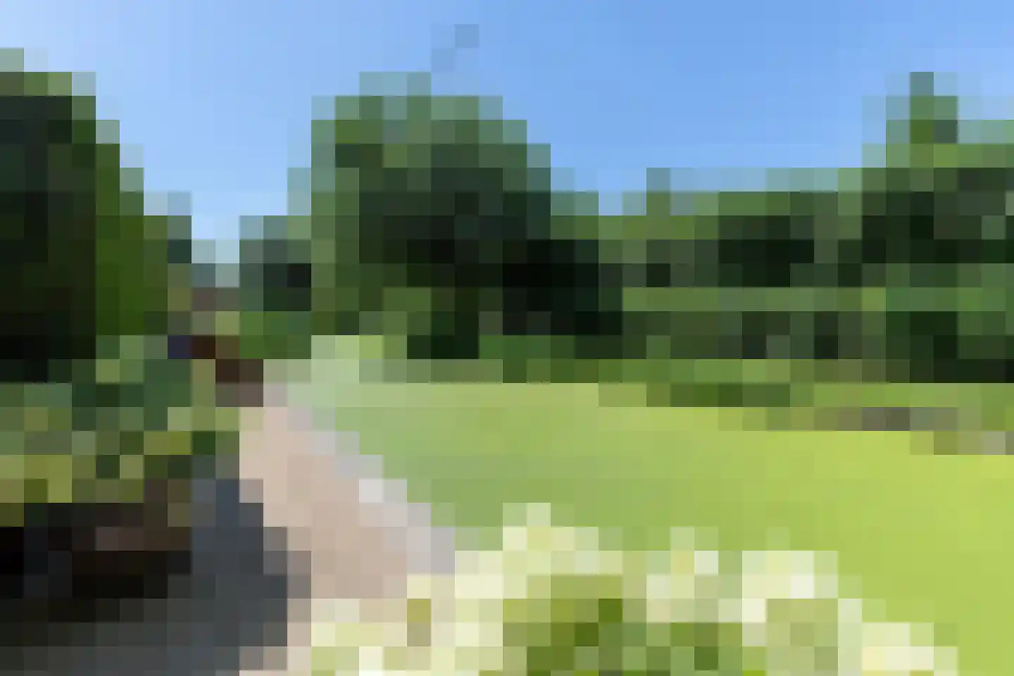 Groen van Prinstererstraat 65 Alblasserdam thumbnail 32