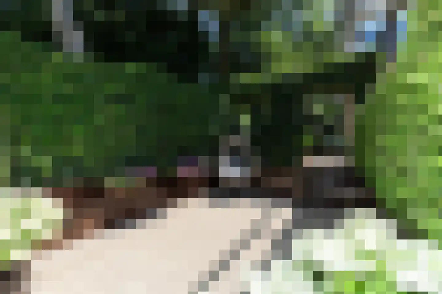 Groen van Prinstererstraat 65 Alblasserdam thumbnail 34