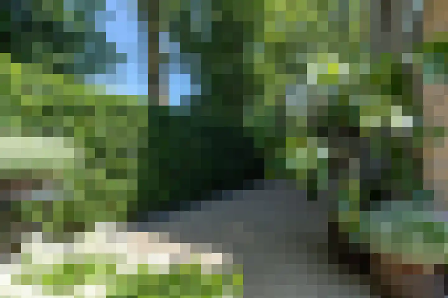 Groen van Prinstererstraat 65 Alblasserdam thumbnail 35