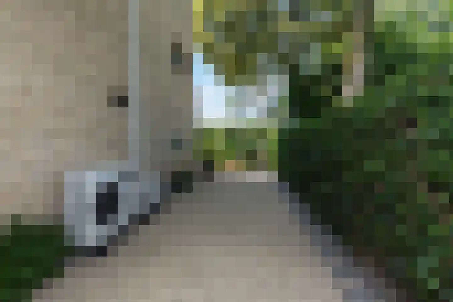 Groen van Prinstererstraat 65 Alblasserdam thumbnail 36