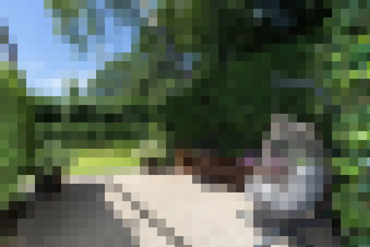 Groen van Prinstererstraat 65 Alblasserdam thumbnail 4