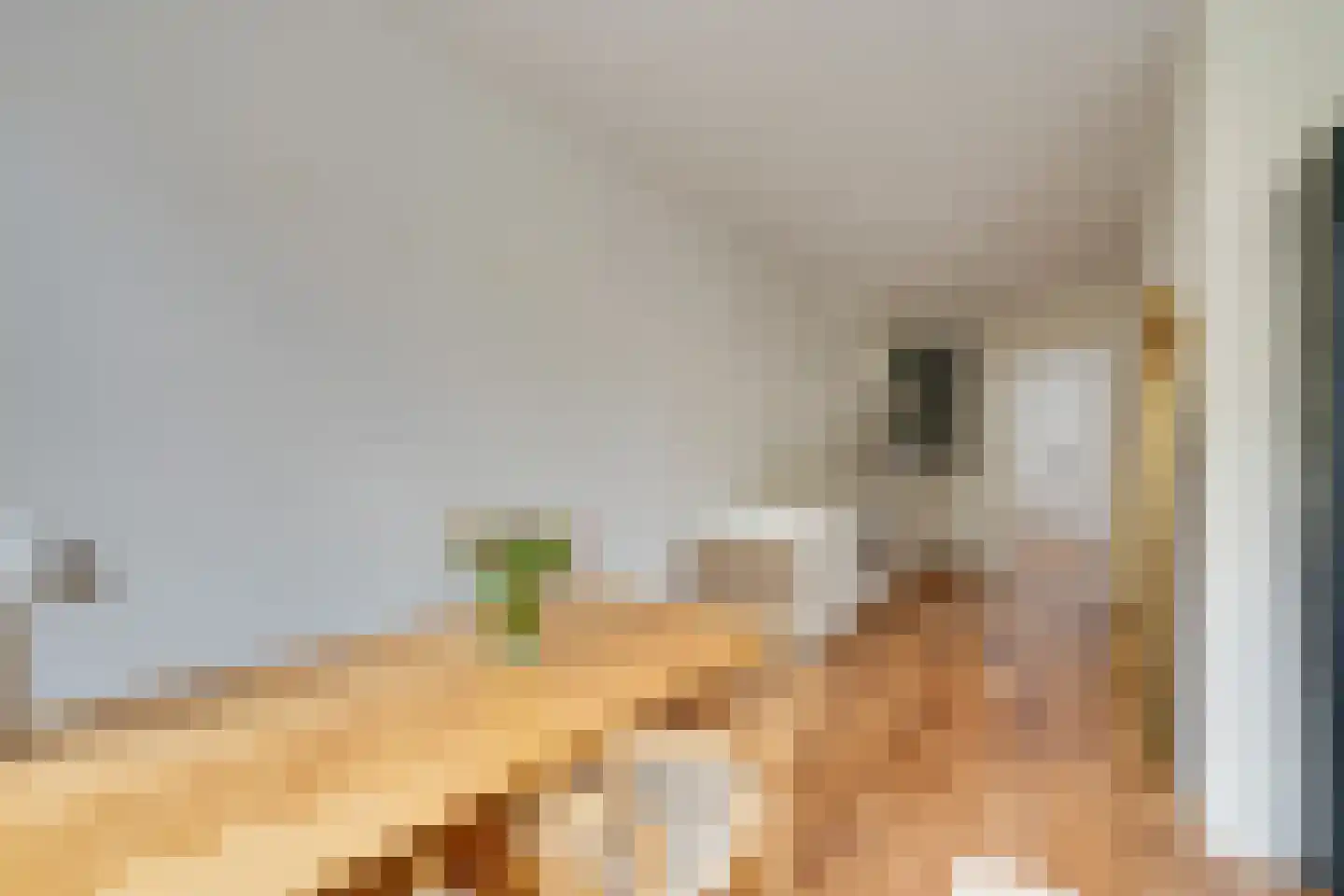 Groen van Prinstererstraat 67 2 Amsterdam thumbnail 12