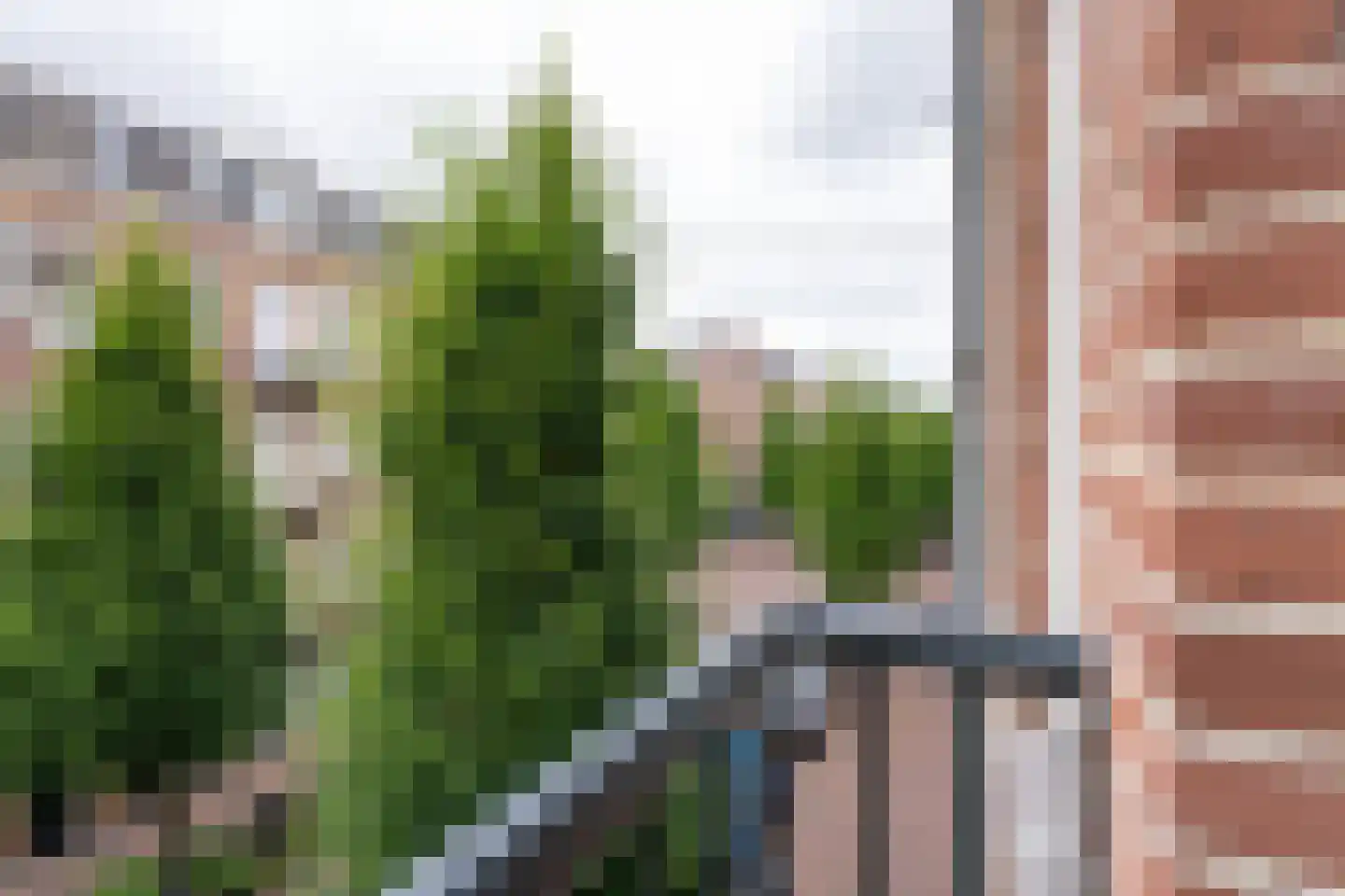 Groen van Prinstererstraat 67 2 Amsterdam thumbnail 20