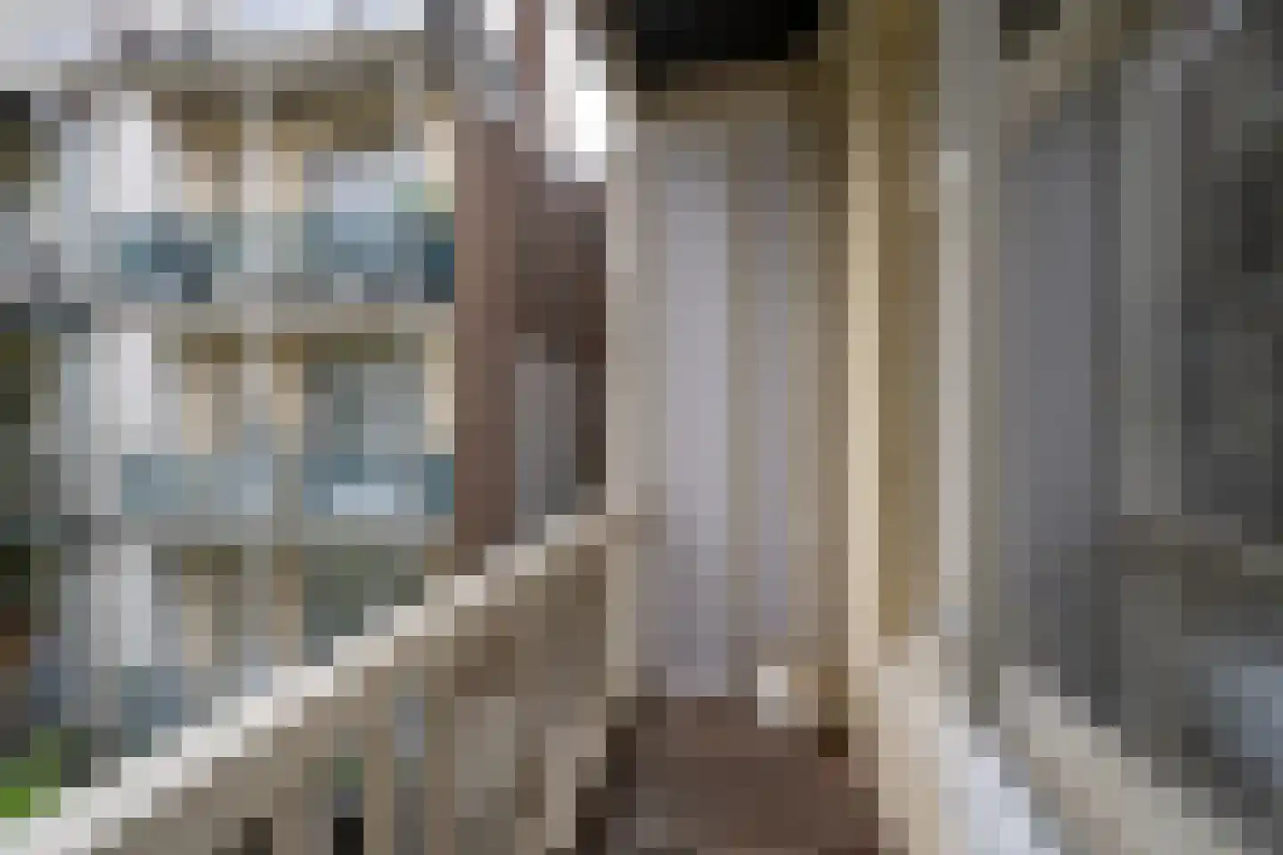 Groen van Prinstererstraat 67 2 Amsterdam thumbnail 30