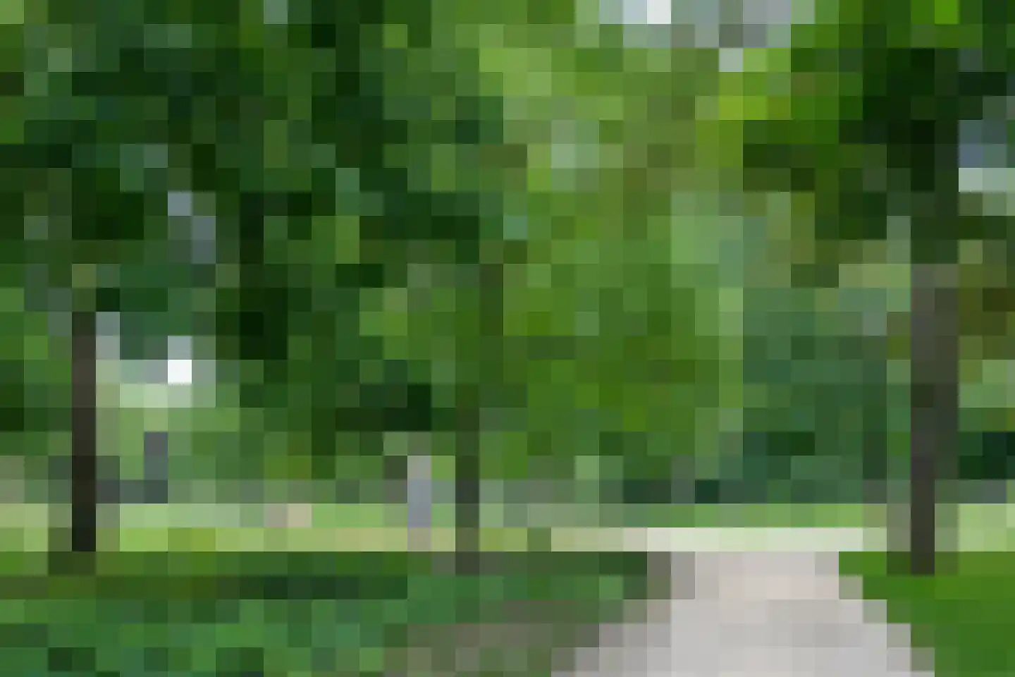 Groen van Prinstererstraat 67 2 Amsterdam thumbnail 37