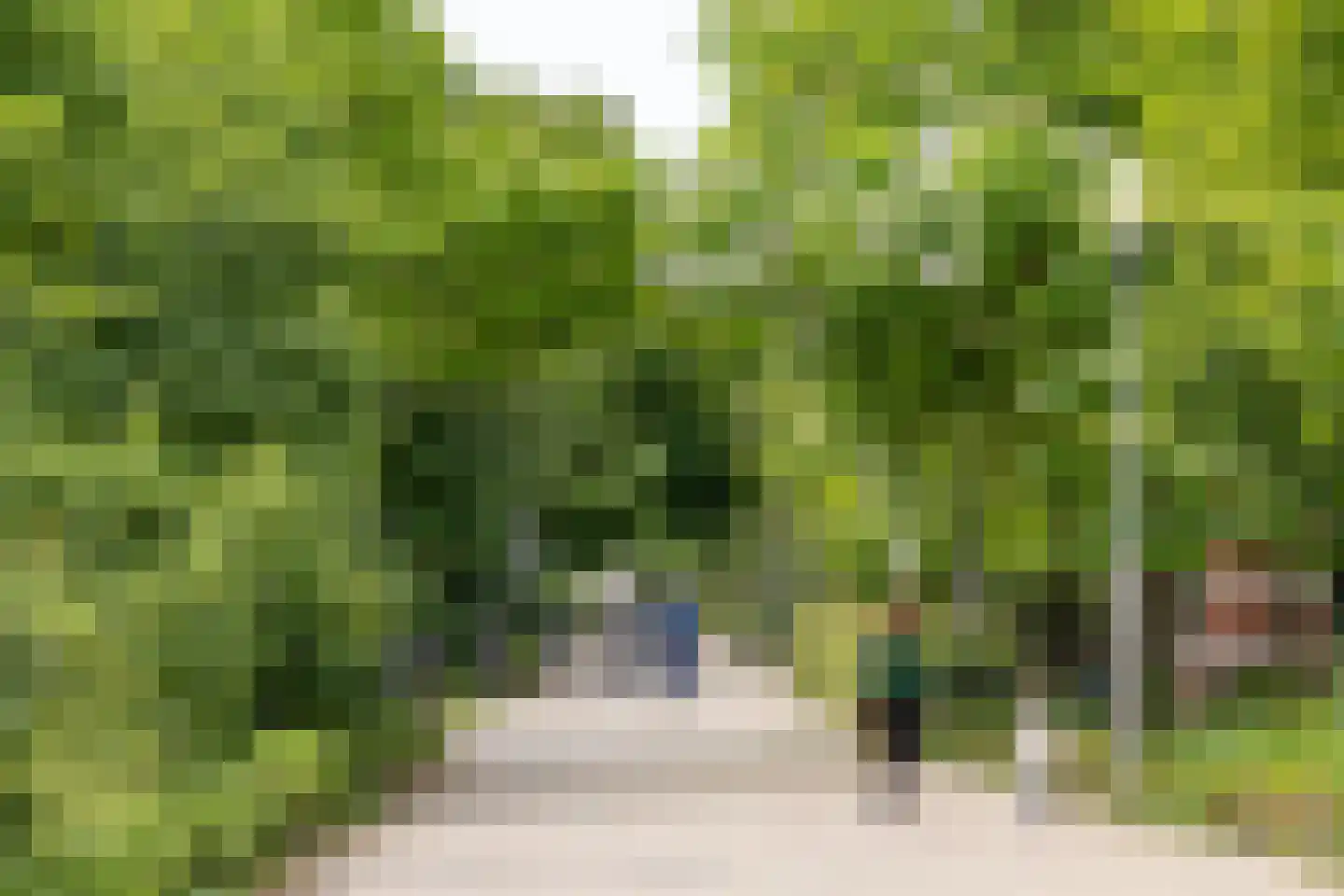Groen van Prinstererstraat 67 2 Amsterdam thumbnail 39