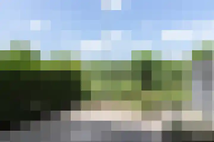 Groen van Prinstererstraat 67 Alblasserdam thumbnail 21