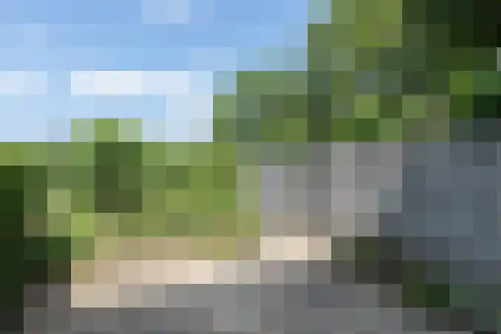 Groen van Prinstererstraat 67 Alblasserdam thumbnail 22