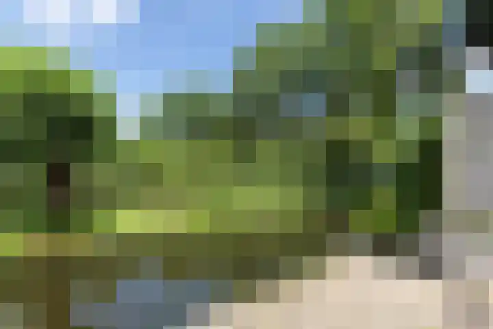 Groen van Prinstererstraat 67 Alblasserdam thumbnail 23