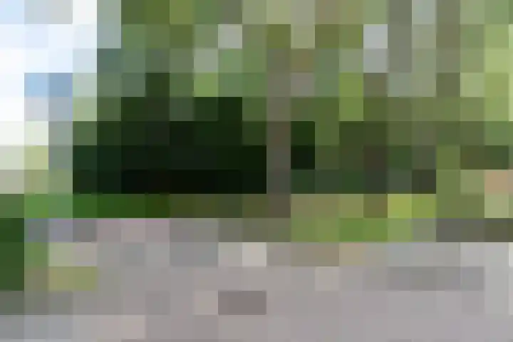Groen van Prinstererstraat 67 Alblasserdam thumbnail 26
