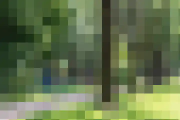 Groen van Prinstererstraat 67 Alblasserdam thumbnail 27