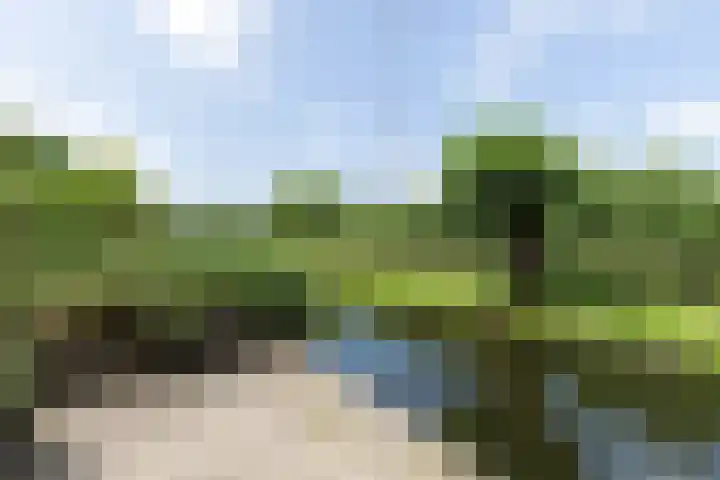 Groen van Prinstererstraat 67 Alblasserdam thumbnail 4