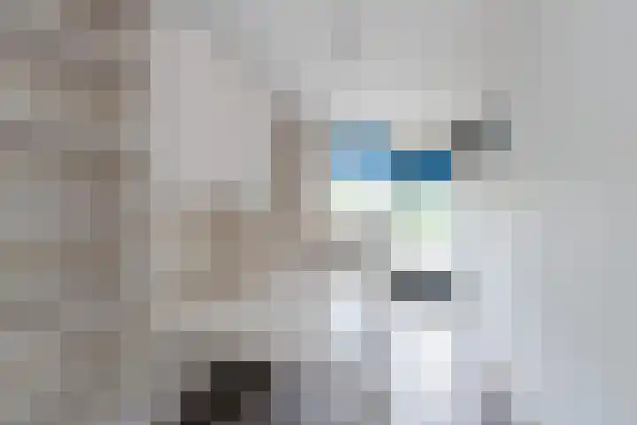 Groen van Prinstererstraat 67 Alblasserdam thumbnail 6