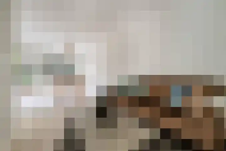 Groen van Prinstererstraat 67 B 01 Rotterdam thumbnail 20