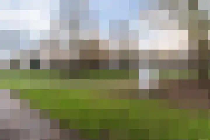 Groen van Prinstererstraat 67 B 01 Rotterdam thumbnail 31