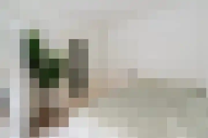 Groen van Prinstererstraat 67 B 01 Rotterdam thumbnail 4