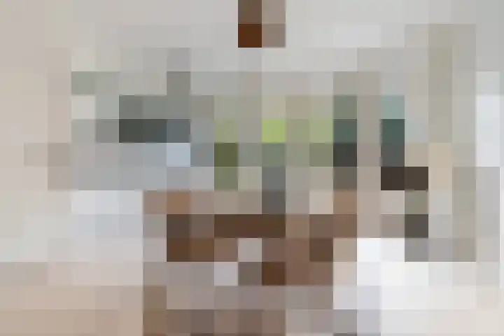 Groen van Prinstererstraat 67 B 01 Rotterdam thumbnail 9